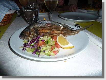 Cupra - T�rkisch f�r Dorade